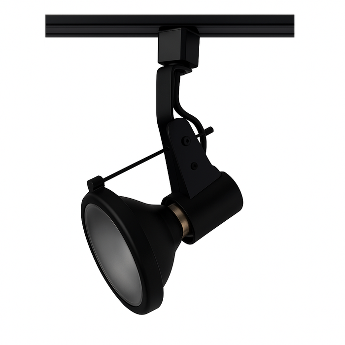 Luminaria tipo spot PAR30 LED - HKT123