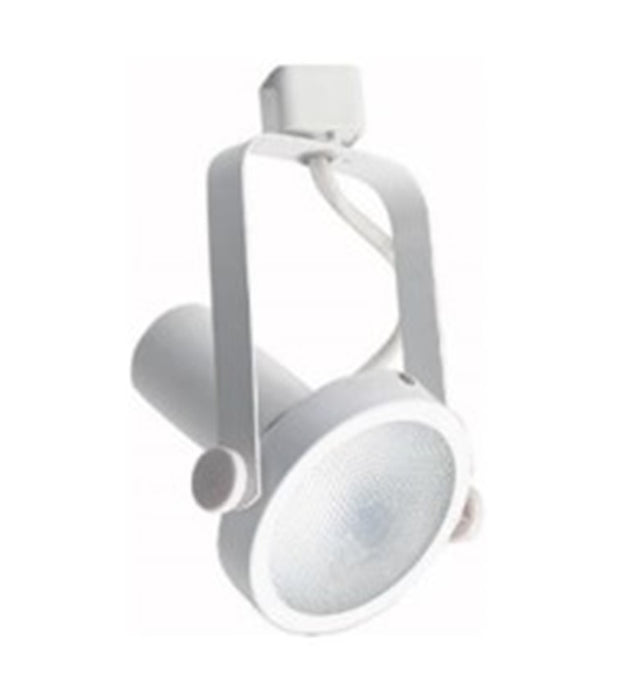 Luminaria tipo spot PAR38 LED - HKT150