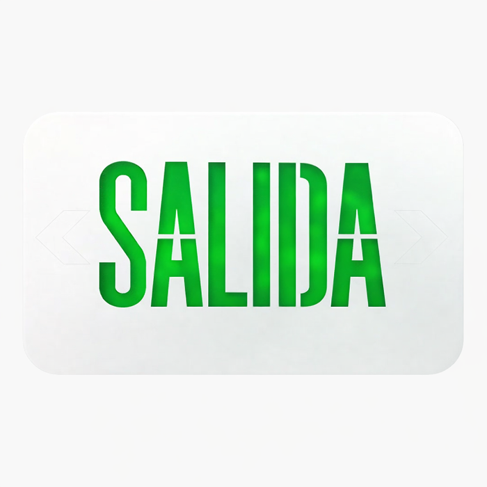 Luminaria aviso de salida de emergencia - EZCXTEU2GWEMS