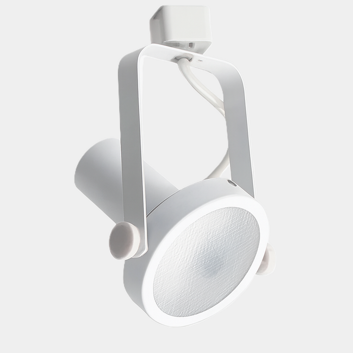 Luminaria tipo spot PAR30 LED - HKT151